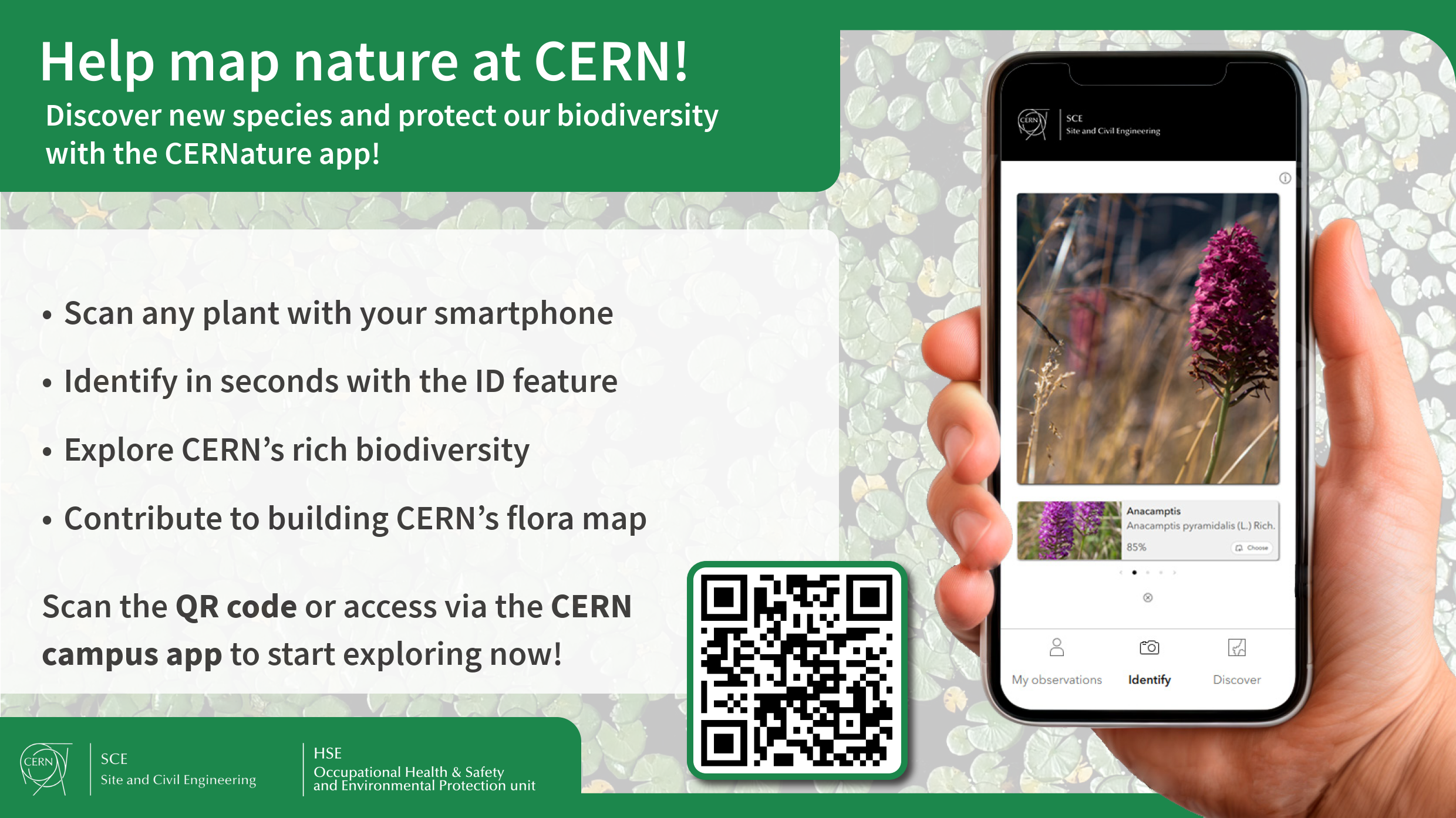 CERNATURE