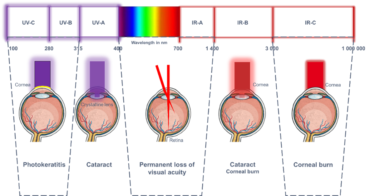 An image of the types of eye damage caused by different wavelengths of laser. Listed above.