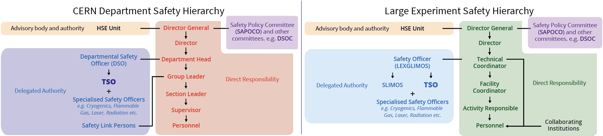 The safety heirachy at CERN. The DG, directors, and department heads have direct responsibility for safety. Department heads give delegated authority to a DSO or LEXGLIMOS, who in turn appoint the TSO and specialist officers.