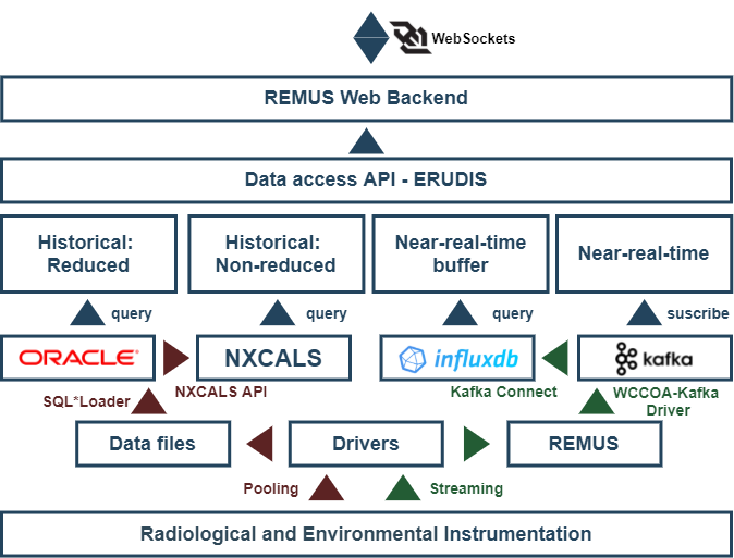 REMUS Data Pipeline for Web