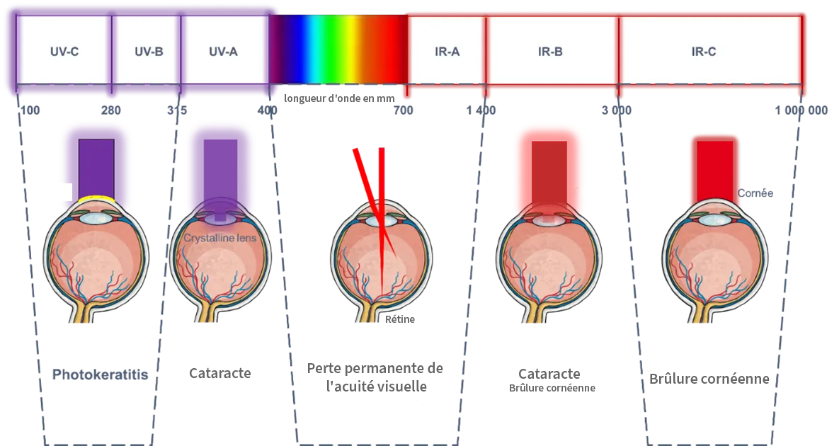 An image of the types of eye damage caused by different wavelengths of laser. Listed above.