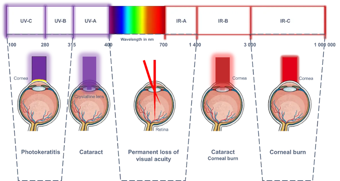 An image of the types of eye damage caused by different wavelengths of laser. Listed above.