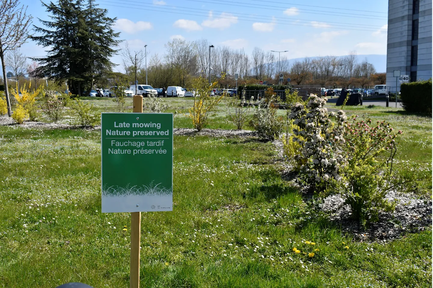 À la découverte de la biodiversité au CERN : installation de nouveaux panneaux sur les orchidées et la fauche tardive